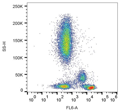 Anti-CD4 Monoclonal Antibody (Clone:MEM-115)-Azide free